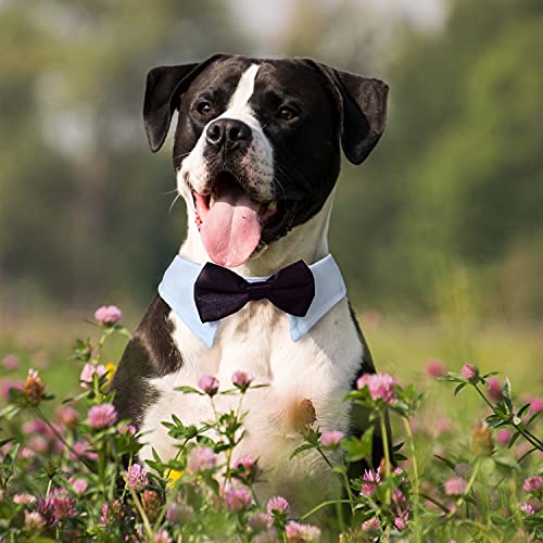 Image of Dog Bow Tie, KOOLMOX Pet Bowtie Collar Black, Adjustable White Pet Tuxedo Collar with Black Dog Neck Bow Tie for Medium Large Boy Dogs Wedding Formal Tuxedo Suit Tux Outfits Birthday Costumes