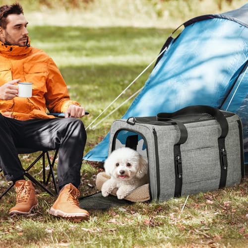 Petsfit Transportbox für Katzen – Faltbare Transporttasche mit Schultergurt, 4-seitigem Netz & weichem Innenkissen – ideal fürs Auto, Reisen & Tierarztbesuche – auch für kleine Hunde
