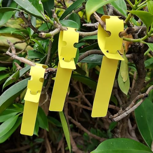 Image of HASTHIP 100-Count Plant Labels Yellow Garden Tags PVC Waterproof Plant Name Tags Plant Markers Anti-Lost Loop Markers for Orchard, Garden, Green House, 100 Labels