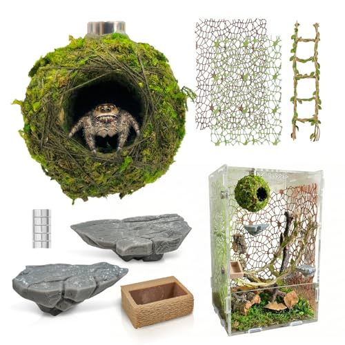 Jumping Spider Enclosure Accessories Kit - Magnetic Moss Ball Hideout, 2 Rock Ledges, Feeding Bowl, Climbing Mesh Nets & Rope Ladder - Natural Forest Habitat Decor for Regal & Bold Jumping Spiders