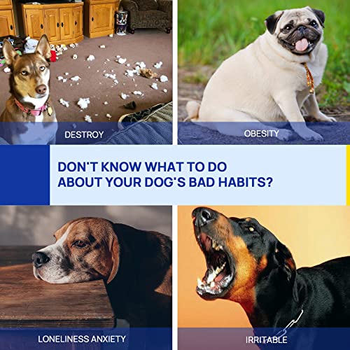 Yon.sou. Dog Agility Training Equipment Dog Agility Course Obstacle Backyard Game,Agility Training Equipment For Dogs With Tunnel,Weave Poles,Dog Jump Ring,Pause Box #TOP5