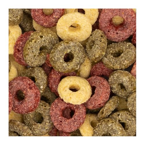 JR FARM Gemüse-Ringe | Doppelpack | 2 x 200 g | Ergänzungsfuttermittel für Nager und Zwergkaninchen | Kann als knuspriger Belohnungssnack dienen | Schmackhafte Gemüsefüllung