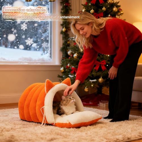 Lit pour chat mignon apaisant en peluche durable avec coussin amovible premium