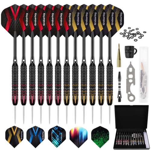 Dartpfeile mit Metallspitze,6 Stück 20 Gramm und 6 Stück 22 Gramm