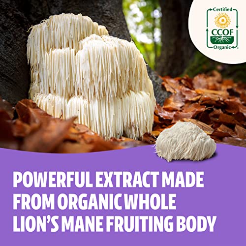 Freshcap Mushrooms Freshcap Lions Mane Supplement Capsules thumb #2