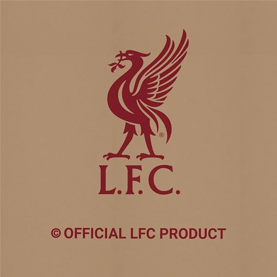 Liverpool FC Wall Sticker - Premier League Champions 2025 Wall Decal (60cm width x 45cm height)