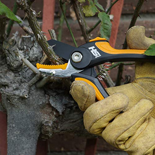 Steelhead 7" Anvil Pruning Shears, Non-Stick Rust Resistant Coating, High-Carbon Steel, Sharp, Hand Pruner, Garden Shears, Clippers, Tree Trimmers, Secateurs, 5/8" Cutting Capacity, Usa-Based Support #TOP5