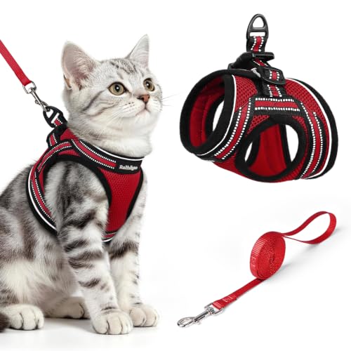 Image of rabbitgoo Cat Harness and Leash Set, Step-in Soft Vest, Red | Escape Proof, Lightweight, Easy-on & Adjustable, Hook & Loop with Buckle, Reflective, for Kittens & Small Cats Walks, M