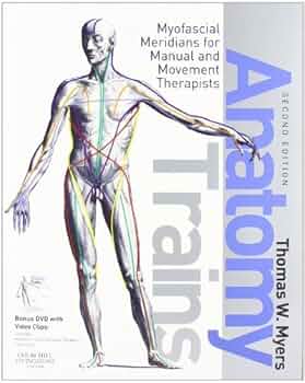 Anatomy Trains セミナー2011 DVD 全12巻セット Anatomy Trains セミナー2011 DVD 全12巻セット Amazon.co.jp