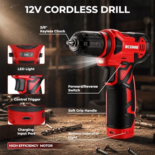 DESOON 259-Piece Tool Kit with 12V Drill
