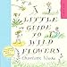A Little Guide to Wild Flowers