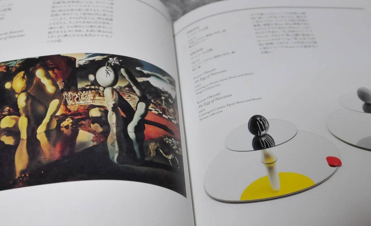 Amazon.co.jp: 図録 岡崎和郎 Who