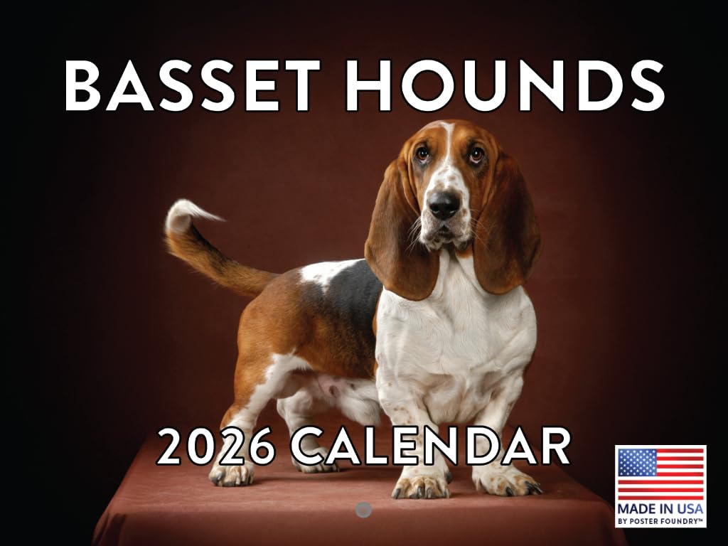 Basset Hound Calendar 2026 Wall 12 Month Monthly Basset Hounds Gifts For Basset Hound Lovers Women Men Mom Dad | American Made In The USA โ image 1