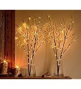 Hairui Lighted Twig Brown Tree Branch with Fairy Lights 32in 100 LED Battery Operated Lighted Wil...