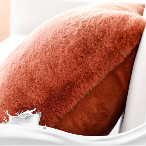 Housse de coussin 50x70 cm lot de 2 taies d'oreiller modernes pour sofa