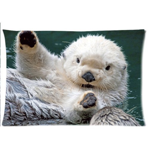 Sea Otter Quilt Patterns – FREE Quilt Patterns
