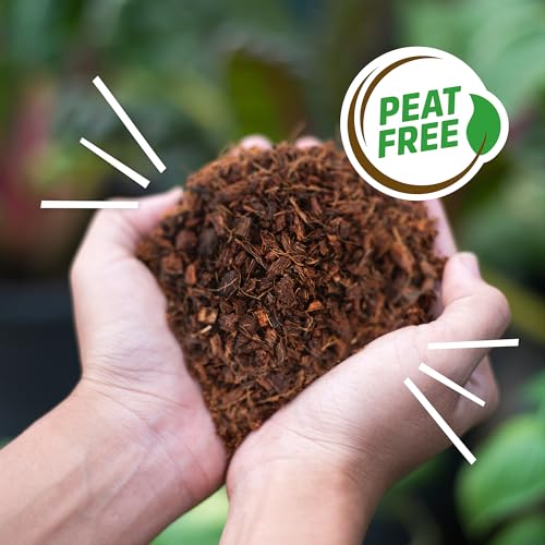 Back to the Roots 100% Organic Mulch, 58 Quart (2 Cubic ft), Expanding Coconut Husk Block for Gardening by Back to the Roots - Image 8