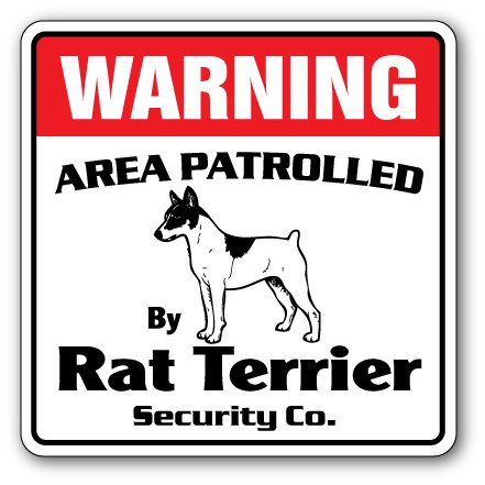 Rat Terrier Security Sign Area Patrolled by pet Signs Guard Dog Owner Lover Dogs