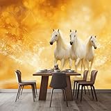 Poster Tableaux Muraux: Les peintures murales sont le choix parfait pour toute décoration intérieure ! Elles conviennent parfaitement pour décorer le salon, la chambre à coucher, la chambre d'enfant, le mur du téléviseur, la cuisine, la salle à manger, les hôtels, etc. Ce papier peint attirera l'attention de tous vos invités