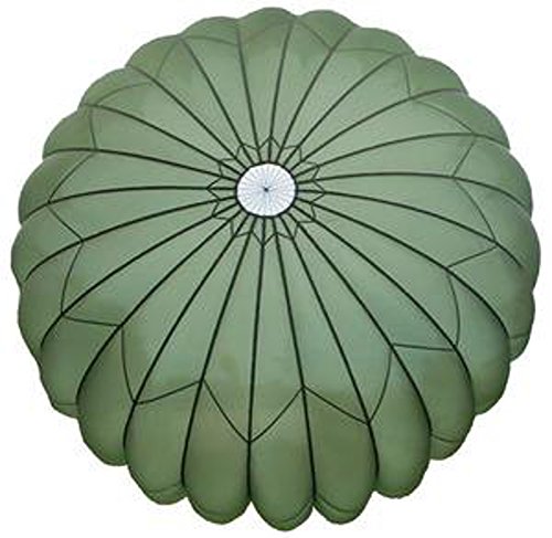 Sgt. Reeds T-10 Foliage Parachute Canopy 34 ft with Net