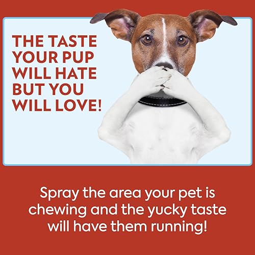Image of OUT! PetCare No Chew Spray for Dogs, Dog Deterrent, Bitter Cherry, 32oz | Bitter Spray for Dogs, Dog Chew Deterrent, Anti Chew Training, Discourages Licking, Non-Staining, Behavior Correction
