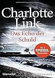  Das Echo der Schuld: Kriminalroman
