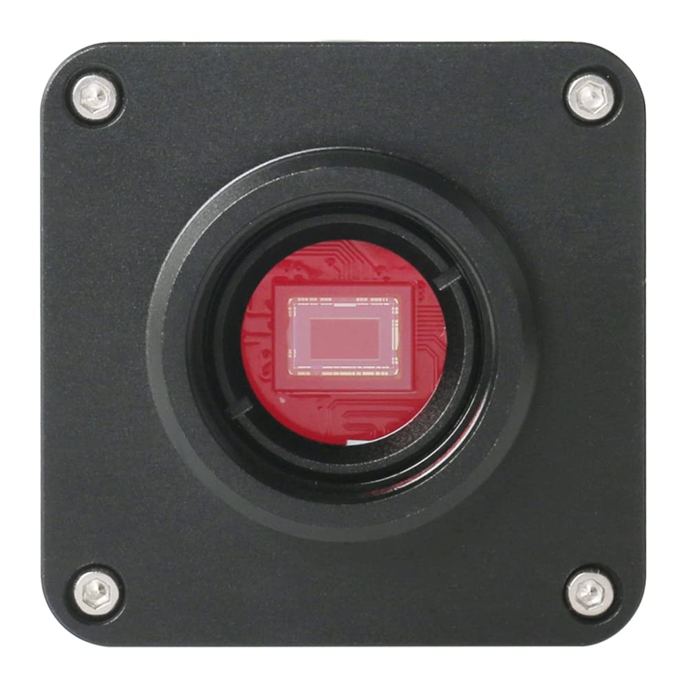 Videocamera per microscopio Digitale Industriale 1080P Videocamera per videoregistratore con Disco SD e Obiettivo con Attacco C 100X