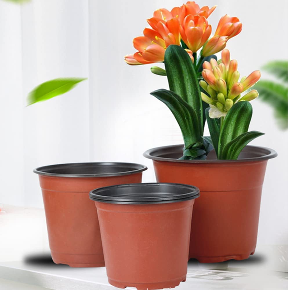 Vasi in plastica piccoli da 10,2 cm, vasi per piantine, per
