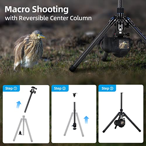 Sirui Carbon Fiber Tripod With B-00K Panoramic Ball Head, 59.8” Compact Lightweight Travel Tripod, Quick Release Reverse Folding Legs, Reversible Center Column, Max Load 22Lbs - Traveler X-I #TOP4