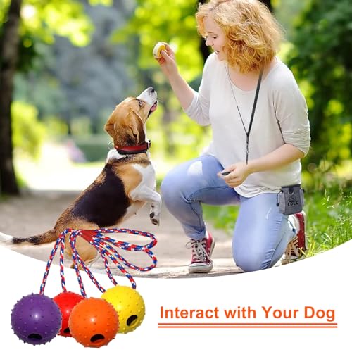 AUTOWNLUX 4 Stück Hundespielzeug Ball mit Schnur, ø 5/30 cm Hundespielzeug Ball Hund am Seil Naturkautschuk, Hundebälle Kleine (Rot, Gelb, Lila, Orange)