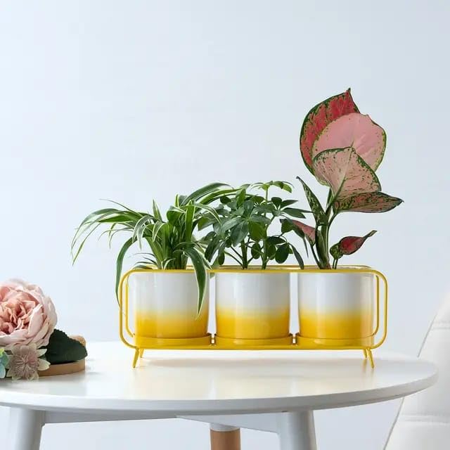 Next in Crafts Modern Ceramic Design Flowerpot Multicolor Iron Shelf Planter Pot with Stand Suitable for Home Indoor & Outdoor Gardening Plants (B0CQXXV1CL) Amazon Price History, Amazon Price Tracker