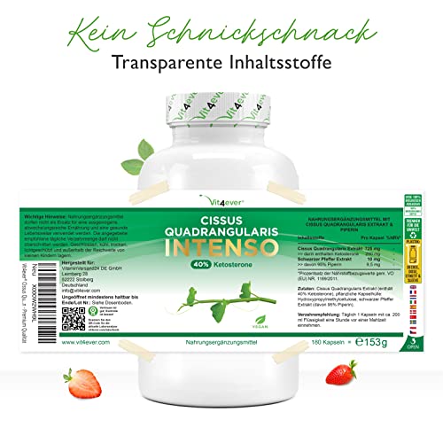 Cissus quadrangularis Vit4ever 180 Kapseln mit 720 mg Extrakt