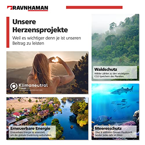 RAVN HAMAN 4er Set Möbelrollen 50 mm - Lenkrollen mit Bremse bis 30 kg pro Rad - Schwenkrollen für Innenmöbel - Transportrollen mit geringem Rollwiderstand