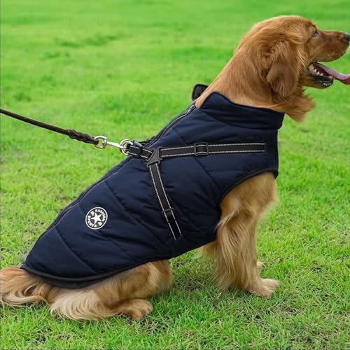 Voarge Hundejacke Winterweste Jacken, Hundemantel mit Geschirr für Kleine Hunde Hundemantel Wasserdicht Maschinen Waschbarer Reflektierender Streifen Design Haltbarer D-Ring (Blau, L)