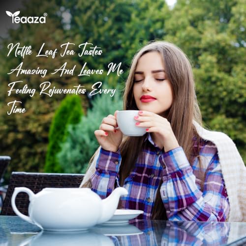 Image of Teaaza Organic Nettle Leaf Tea| Nettle Tea Leaves sourced from Himalayas| For Kidney Detox, Raising Hemoglobin & Joint Health, 10 Grams