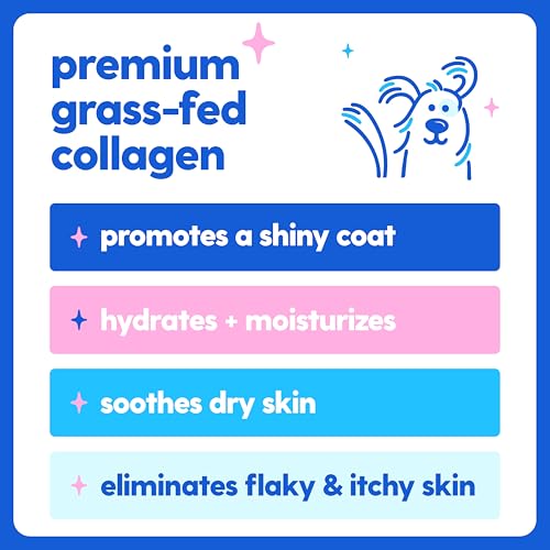 Haut- und Fellergänzung für Hunde, Katzen | Taily Flüssiges Kollagen für Hunde | Juckreizlinderung für Hunde mit Allergien, mit Grasfutter Kollagen, Biotin, Vitamin C und Hyaluronsäure | Hergestellt
