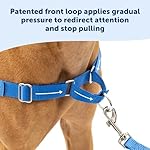 PetSafe Easy Walk No-Pull Dog Harness - The Ultimate Harness to Help Stop Pulling - Take Control & Teach Better Leash Manners - Helps Prevent Pets Pulling on Walks, Large, Black/Silver 8