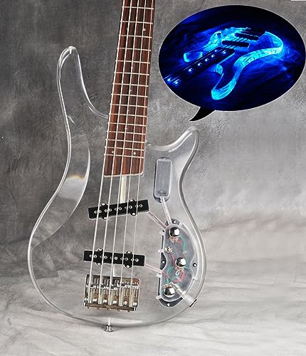 RSW 5 String Bass with Acrylic Body