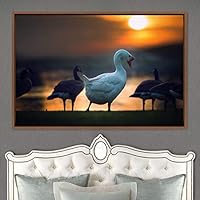 Framed Canvas Wall Art Lone White Goose Aerial Beach Birds Cool Multicolor Photography Realism Relax/Calm Single - 16x24 inches
