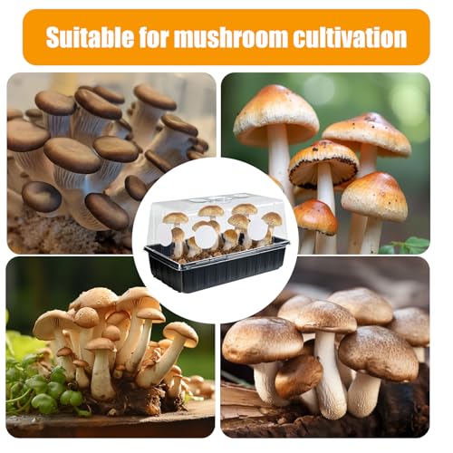 Image of 12PCS 2.5in Monotub Adhesive Filter Disks, Mushroom Monotub Filter Discs, Mushroom Filter, Filter Patch for Monotub, for Mushroom Growing Supplies Filter Pad Replacements.(2mm Thick) (12PCS)