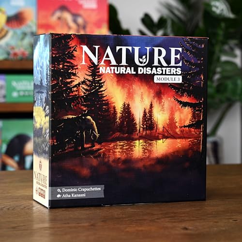 Nature Board Game Expansion – Module 3: Natural Disasters miniatura 5
