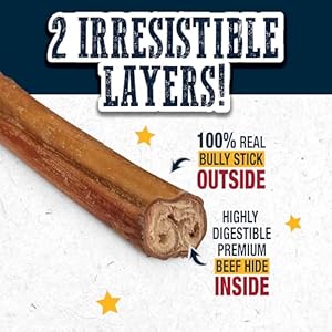 Cadet bully hide sticks 10 inch 4 pack   cucciolini doodles