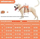 BELPRO Mehrzweck-Hundegeschirr, ausbruchsicher, kein Ziehen, reflektierend, verstellbare Weste mit strapazierfähigem Griff, Hundegeschirr für große/aktive Hunde(Orange, M)