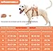 BELPRO Mehrzweck-Hundegeschirr, ausbruchsicher, kein Ziehen, reflektierend, verstellbare Weste mit strapazierfähigem Griff, Hundegeschirr für große/aktive Hunde(Orange, M)
