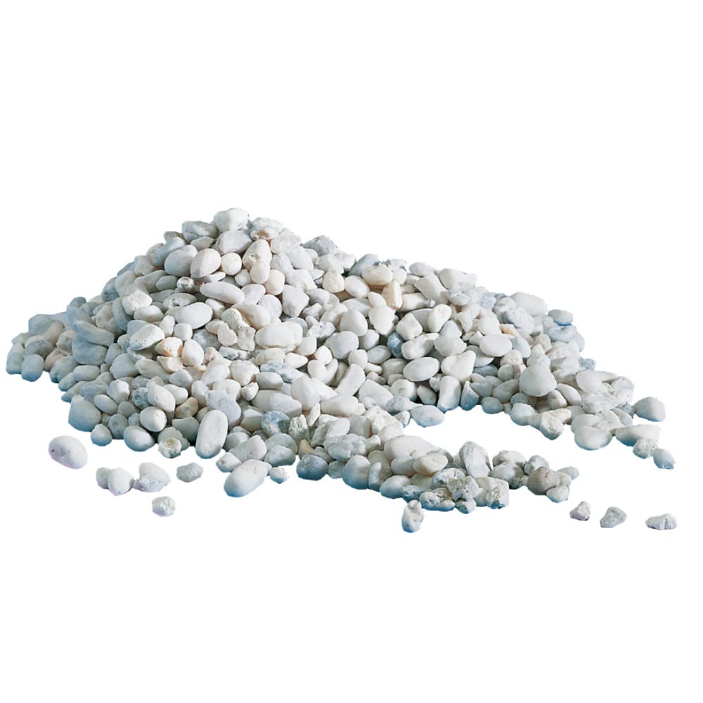 AMTRA GHIAIA NOA - Ghiaia naturale dell'acquario, pavimento decorativo, grani grossolani bianchi dimensioni 4-8 mm, formato 5kg