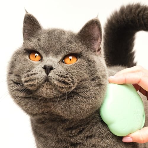 Tangle Teezer Pet Teezer Katzenbürste – Für Katzen mit kurzem bis mittellangem Fell – Pflegebürste für Katzen mit zweistufigen Borsten, die Glanz und Glätte verleiht – Grün