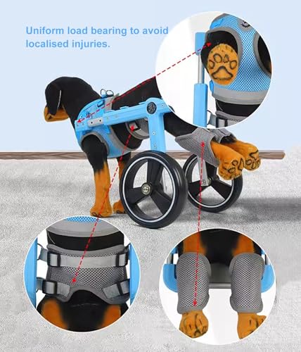 Carrito de silla de ruedas ajustable para patas traseras de perros pequeños 6
