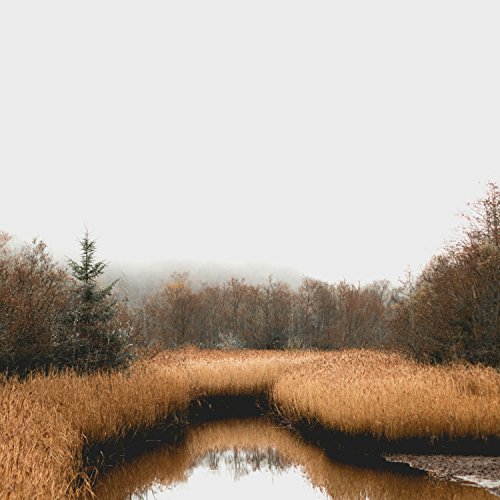 Amazon.com: Relaxing Piano Music to Sleep and Study : VARIOUS ARTISTS ...