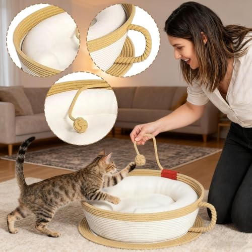 Griffoir pour chat pour protéger le canapé et offrir un lit doux