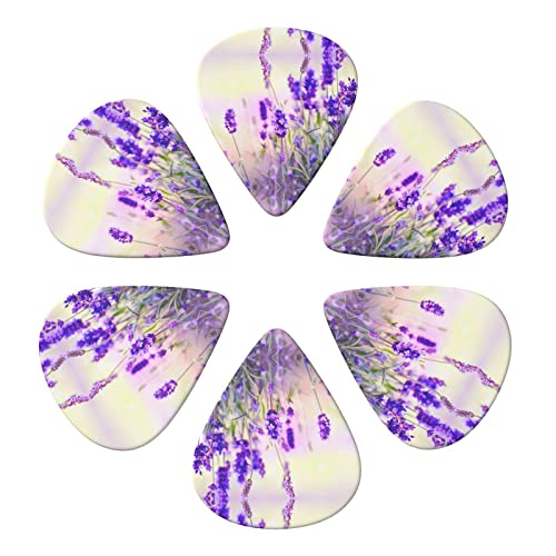 Ensemble de 6 médiators de guitare fleur de lavande pour guitare acoustique, guitare électrique, basse, ukulélé – fin… - Les Beatles, Paul McCartney, John Lennon, RIngo Starr, George Harrison Ensemble de 6 médiators de guitare fleur de lavande pour guitare acoustique, guitare électrique, basse, ukulélé - fin… – Image 5